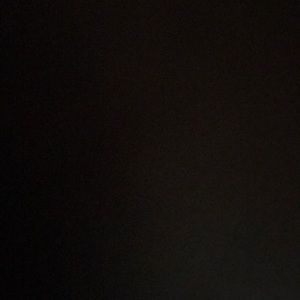 Meet your Posher, Bella